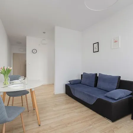 Potulicka Comfort Szczecin